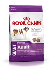 Royal Canin Giant Adult karma sucha dla psów dorosłych, od 18/24 miesiąca życia, ras olbrzymich 15kg