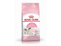 Royal Canin Mother&Babycat karma sucha dla kotek w okresie ciąży, laktacji i kociąt od 1 do 4 miesiąca 2kg
