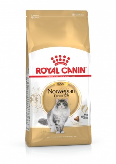 Royal Canin Norwegian Forest Cat Adult karma sucha dla kotów dorosłych rasy norweski leśny 2kg