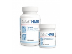 Dolvit HMB- karma uzupełniająca dietetyczna zalecana w okresie rekonwalescencji 30tab