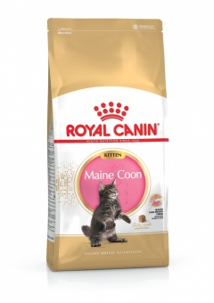 Royal Canin Maine Coon Kitten karma sucha dla kociąt do 15 miesiąca, rasy Maine Coon 400g