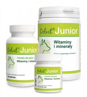Dolvit Junior- witaminowo-mineralny preparat dla szczeniąt i młodych psów 1kg proszek