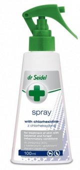 Dr Seidel spray z chlorheksydyną 100ml 1szt.
