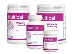 Dolvit Multical- witaminowo-mineralny preparat dla psów 1kg proszek