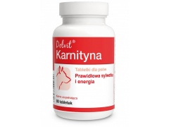 Dolvit Karnityna- prawidłowa sylwetka i energia 90tab