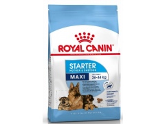 Royal Canin Maxi Starter Mother & Babydog 4kg
