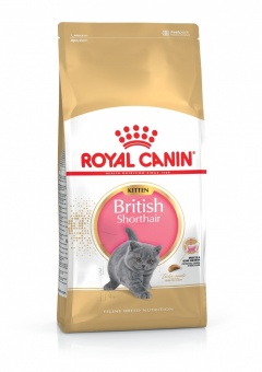 Royal Canin British Shorthair Kitten karma sucha dla kociąt, do 12 miesiąca, rasy brytyjski krótkowłosy 400g