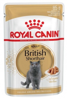 Royal Canin British Shorthair karma mokra w sosie dla kotów dorosłych rasy brytyjski krótkowłosy saszetka 85g 1szt.