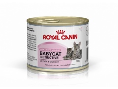 Royal Canin Mother & Babycat Instinctive Mousse karma mokra - mus dla kociąt i kotek karmiących puszka 195g 195g