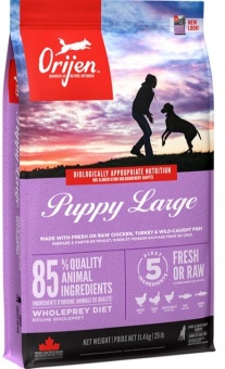 Orijen Puppy Large Breed karma dla szczeniąt dużych ras 11.4kg
