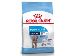 Royal Canin Maxi Puppy Active karma sucha dla szczeniąt ras dużych o wyższym zapotrzebowaniu energetycznym 15kg