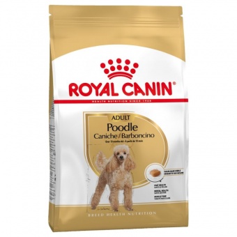 Royal Canin Poodle Adult karma sucha dla psów dorosłych 1,5kg
