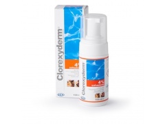 ICF Clorexyderm Foam 4% pianka bakterio i grzybobójcza 100ml 1szt.