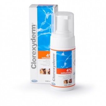 ICF Clorexyderm Foam 4% pianka bakterio i grzybobójcza 100ml 1szt.