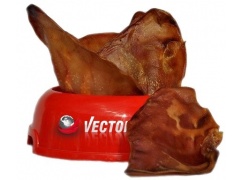 Vector-Food Ucho wieprzowe duże 10szt