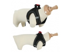 Zolux Szelki oddychające z siatki XL czarne