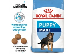 Royal Canin Maxi Puppy karma sucha dla szczeniąt, od 2 do 15 miesiąca życia, ras dużych 15kg