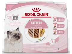 Royal Canin Feline Kitten Multipack karma mokra dla kociąt do 12 miesiąca życia saszetki 4x85g