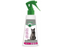 Dr Seidel Atraktis - preparat z kocimietką 100ml