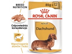 Royal Canin Dachshund karma mokra - pasztet, dla psów dorosłych rasy jamnik saszetka 85g