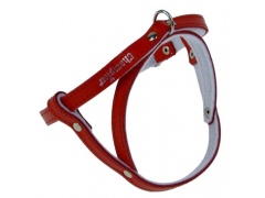 Champion Szelki 40 czerwone [SD(R)]