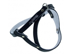 Champion Szelki 60 czarne [SD]