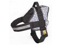 Dingo Szelki Strong America Alaska nr.3 (37-49cm)